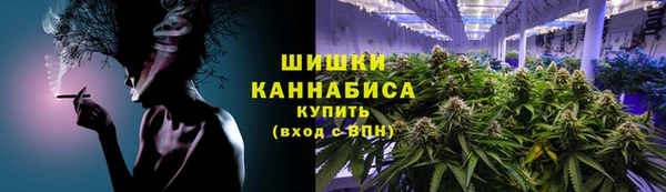 ПСИЛОЦИБИНОВЫЕ ГРИБЫ Бородино