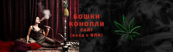 ПСИЛОЦИБИНОВЫЕ ГРИБЫ Бородино