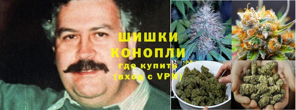 ПСИЛОЦИБИНОВЫЕ ГРИБЫ Бородино